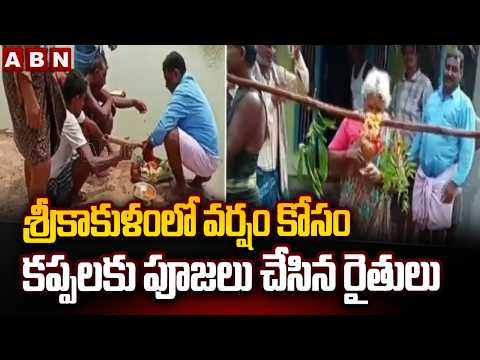 శ్రీకాకుళంలో వర్షం కోసం కప్పలకు పూజలు చేసిన రైతులు | Farmers pray for rain in Srikakulam | ABN - ABNTELUGUTV