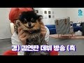 [V LIVE] BTS - 경) 김연탄 브이앱 데뷔 •̀ㅅ•́🐾 (축 (V&Jimin's V with his puppy)