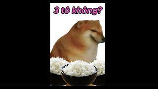 Ntm Duy Meme Live Stream