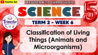 Science 5 Term 2 Week 6   -  Classification of Living Things (Animals and Microorganisms)