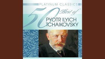 String Quartet No.3 in E flat minor, Op. 30 : IV. Finale - Allegro non troppo e risoluto