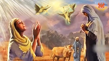 1부-신의 섭리에 대하여: 마이모니데스 [P1/2] On Divine Providence: From “The Guide for the Perplexed” by Maimonides