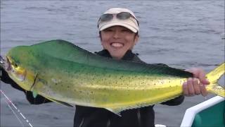 無限ピュア船LF実釣 和歌山落とし込み編