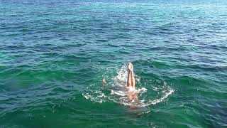 Volnaafrodit 14. Art Swim In Cyprus. Esperansa, Svetlana, Mary Y Pablo