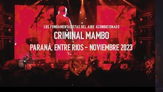 Video thumbnail of "Criminal Mambo - LFDAA - Complejo Toma Vieja, Paraná - Entre Ríos 11/11/23"