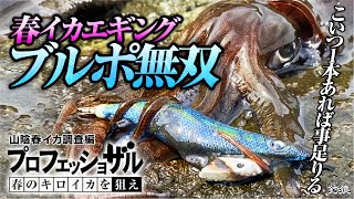 残り2組早い者勝ち　人気　ヨーヅリ　春イカ　秋イカ　エギ　3.0号　20本 残り2組早い者勝ち 人気 ヨーヅリ 春イカ 秋イカ エギ 3.0号 20