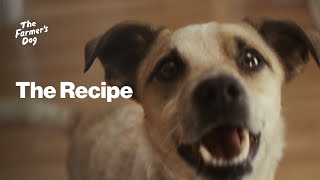 The Farmer's Dog Commercial: The Recipe
