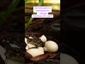 #bedtimestories #bedtime #novel #relax #pt9s #pt9 #pt9t #song #นิทาน #เรื่องเล่า