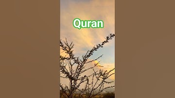 وإذ قال إبراهيم ربي أرني كيف تحيي الموتى:- تلاوة خاشعة قرآن كريم | #قران_كريم #اكسبلور