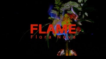Flora Nova | Flame (OFFICIAL LYRIC VIDEO)