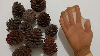 Pine Cone Diy With Stockings Simple Natural Craft Idea