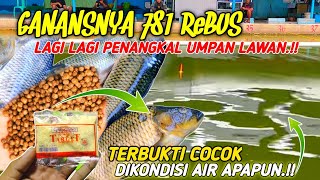 UMPAN IKAN MAS PELET 781‼️RACIKAN UMPAN PALING JITU MANCING IKAN MAS LOMBA & KILO GEBRUS