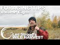 Wild Harvest Foraging Tips   Vol 8