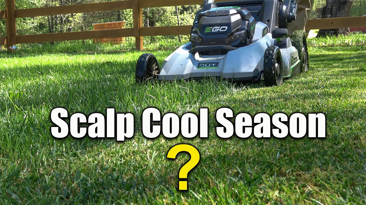 Скальпинг травы в прохладный сезон — да или нет