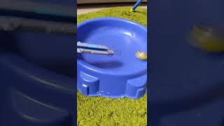 Магия Nado