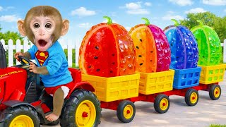 小猴子 BonBon 的天空奇遇，巫師變成巨蜂追擊而來！ – BonBon 台灣