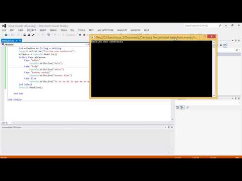 Visual Basic - Select Case Else - 23
