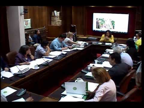 Reunión Ordinaria Nº04 del Concejo Municipal, del día lunes 04 de Febrero del 2019. concejo in english