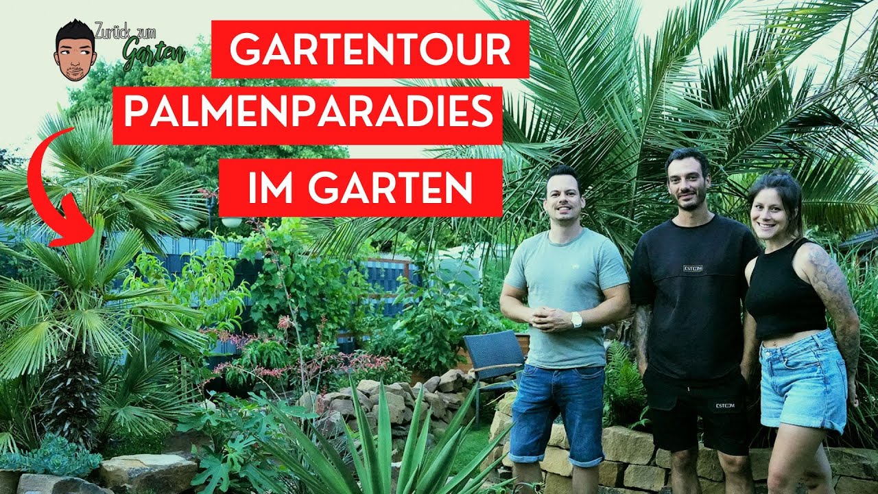 Palmenparadies im Münsterland  - Zu besuch bei Jackys Traumgarten
