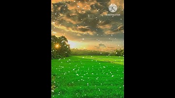 #سورة_إبراهيم #القرآن_الكريم #القرآن #القارئ #اكسبلور
