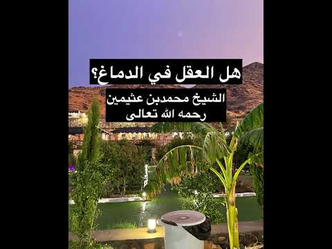 أين مكان العقل في الدماغ أم في القلب اكسبلور Shortvideo Love Quran Shorts Short Quran 