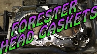Forester Head Gaskets [Part 1]