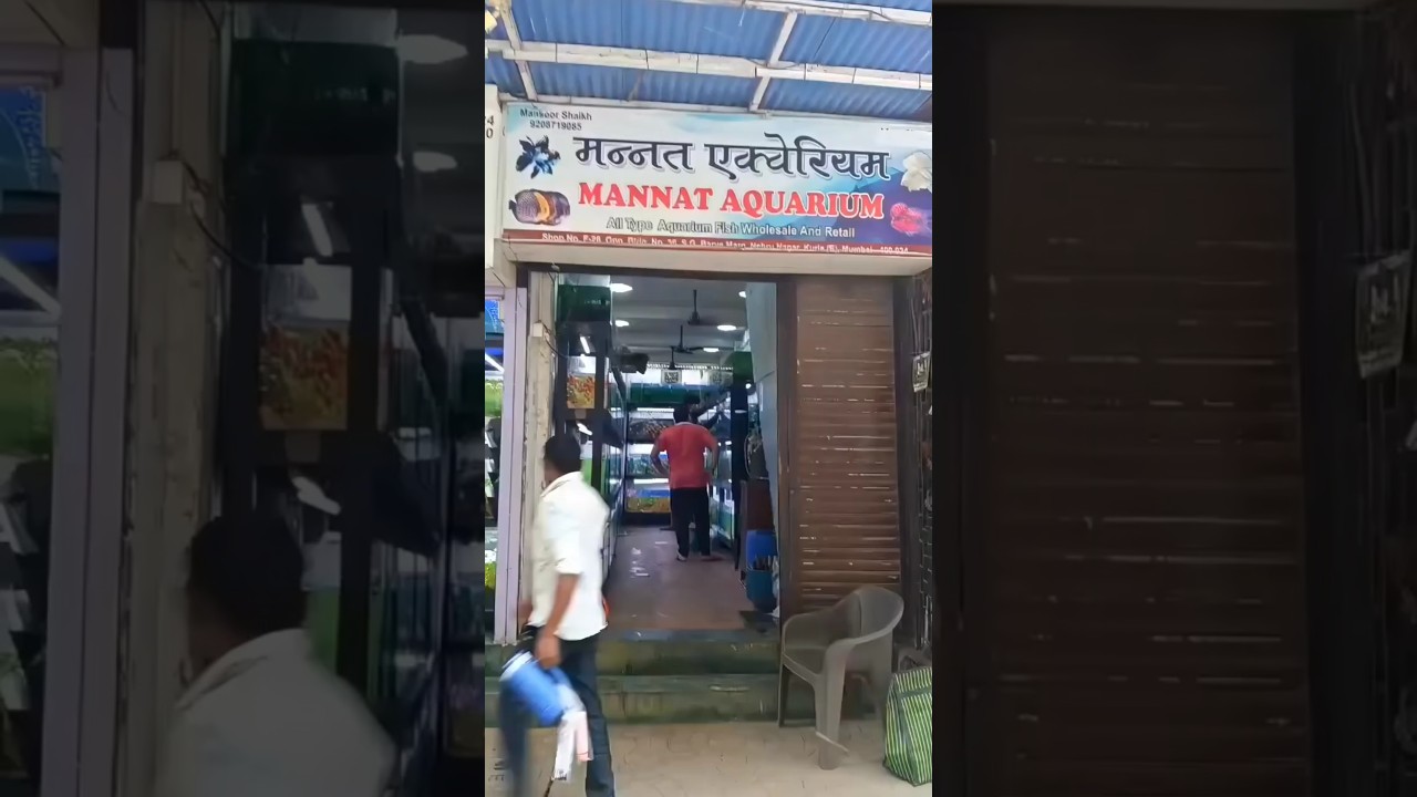 Pearl Pellets Fish Foods Now Available at Mannat Aquarium, Kurla Mumbai! 🔥 | Aquarium Shop Tour &