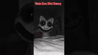 Cats Are Not Scary 💀💀💀