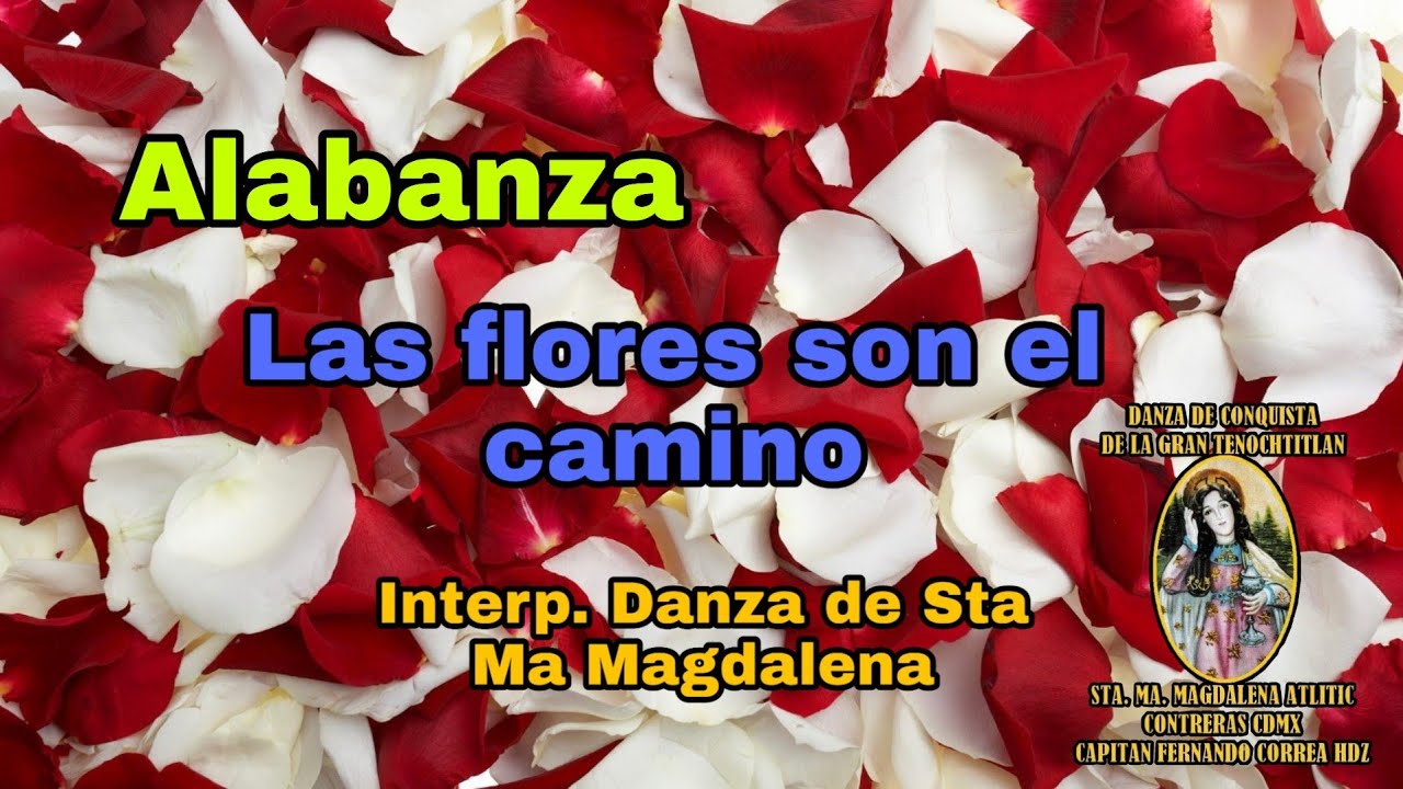 Alabanza 
