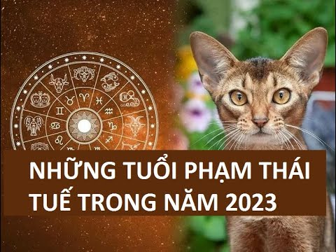 Video Con Giáp Phạm Thái Tuế Năm 2023 Là Những Ai ? - Tử Vi... - youtube