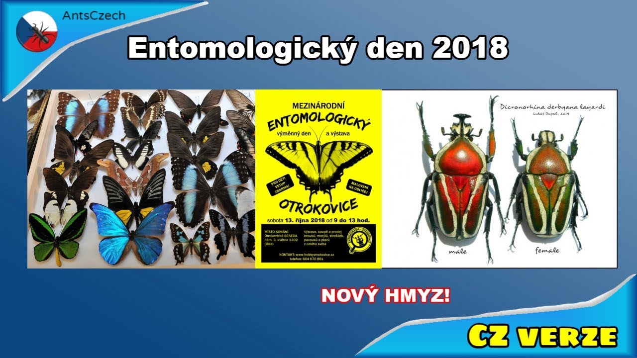 Zlatohlávci! Mezinárodní Entomologický den 2018 [CZ verze]
