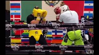 Canelo sparring video | esnews boxing boxeo