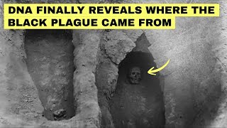 Ancient DNA Just Rewrote Everything We Knew About the Black Death