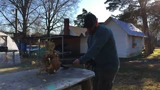Another pumpkin bites the dust! Muzzle blast vs pumpkin.