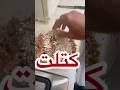 How to Make Iranian Cutlets (Kotlet) طرز تهیه کتلت #youtube #youtuber #subscribers