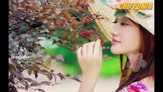 第一次 ~Di Yi Ci / 路飞文（原唱：光良）[Chiffonia Music] Lyric Pinyin