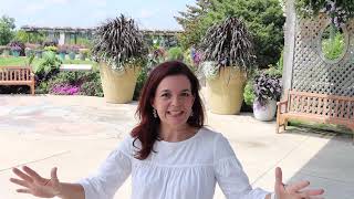 Garden Tour of Four Star's Display Garden | Gardening with Creekside