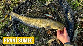 Download Lagu Nečekaný záběr! Můj PRVNÍ SUMEC na přívlač MP3