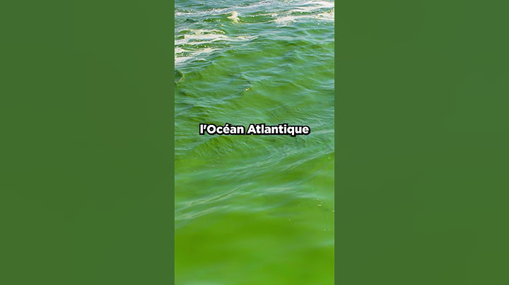 Pourquoi Les Océans Atlantique et Pacifique Ne Se Mélangent Pas