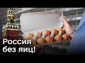 ❌ Россия без яиц! В РФ проблемы с продуктами из-за войны и санкций!