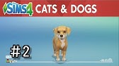 Ps4 シムズ4 内装編 ペット飼育可 2人で住めるピンクのおうち House Speed Build The Sims4 Youtube Ps4 シムズ4 内装編 ペット飼育可 2人で住めるピンクのおうち House Speed Build The Sims4 Youtube