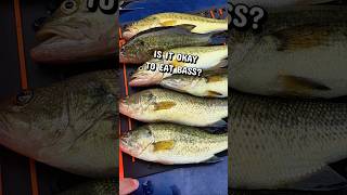 Should You Actually Eat Bass? @HellaBass