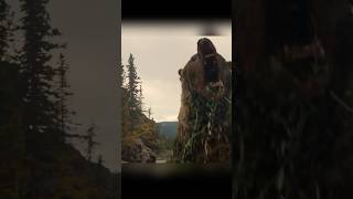 #film #prey #predator #horror