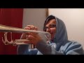 Your New Boyfriend By Wilbur Soot Excerpt - Trumpet Cover