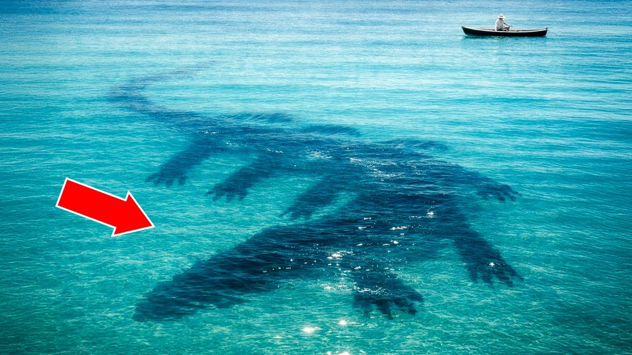 Top 10 Creepiest Sea Monster Sightings — Real Encounters!!
