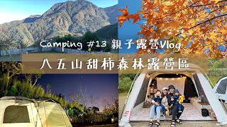 Camping #13 親子露營Vlog | 新竹尖石 八五山甜柿森林露營區｜超正老闆娘與烤雞｜絕對再訪營區｜ Coleman MDX｜帶雙胞胎去露營【恩恩露營去】