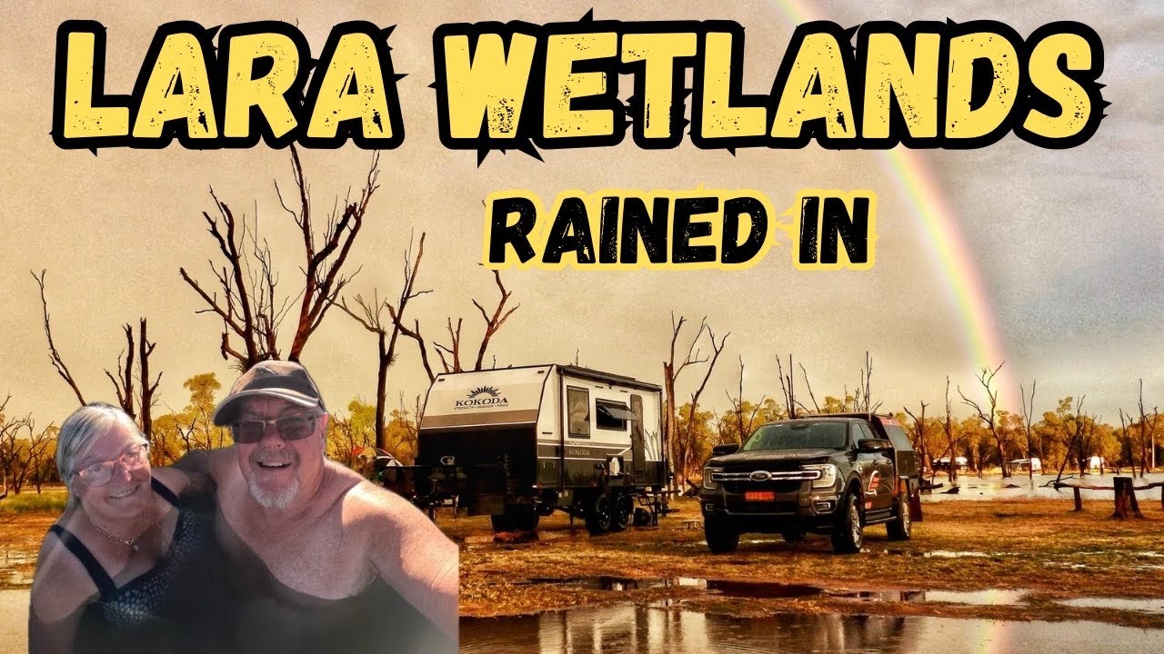 Водно-болотные угодья Лара, Квинсленд. Прошёл дождь.