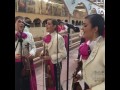 Mariachi Femenil Nuevo Tecalitlán El Gavilancillo, El Toro Viejo, El Son de La Vaquilla y otros