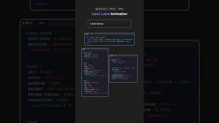 #video #coding #scc Floating Label Input Animation 🔥 HTML CSS Trick #webdesign #animation #python