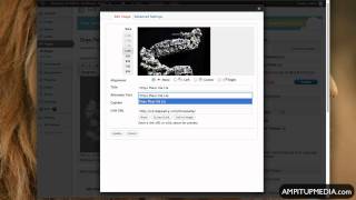 WP EStore How to add a Product Word Press Shopping Cart Net Worth